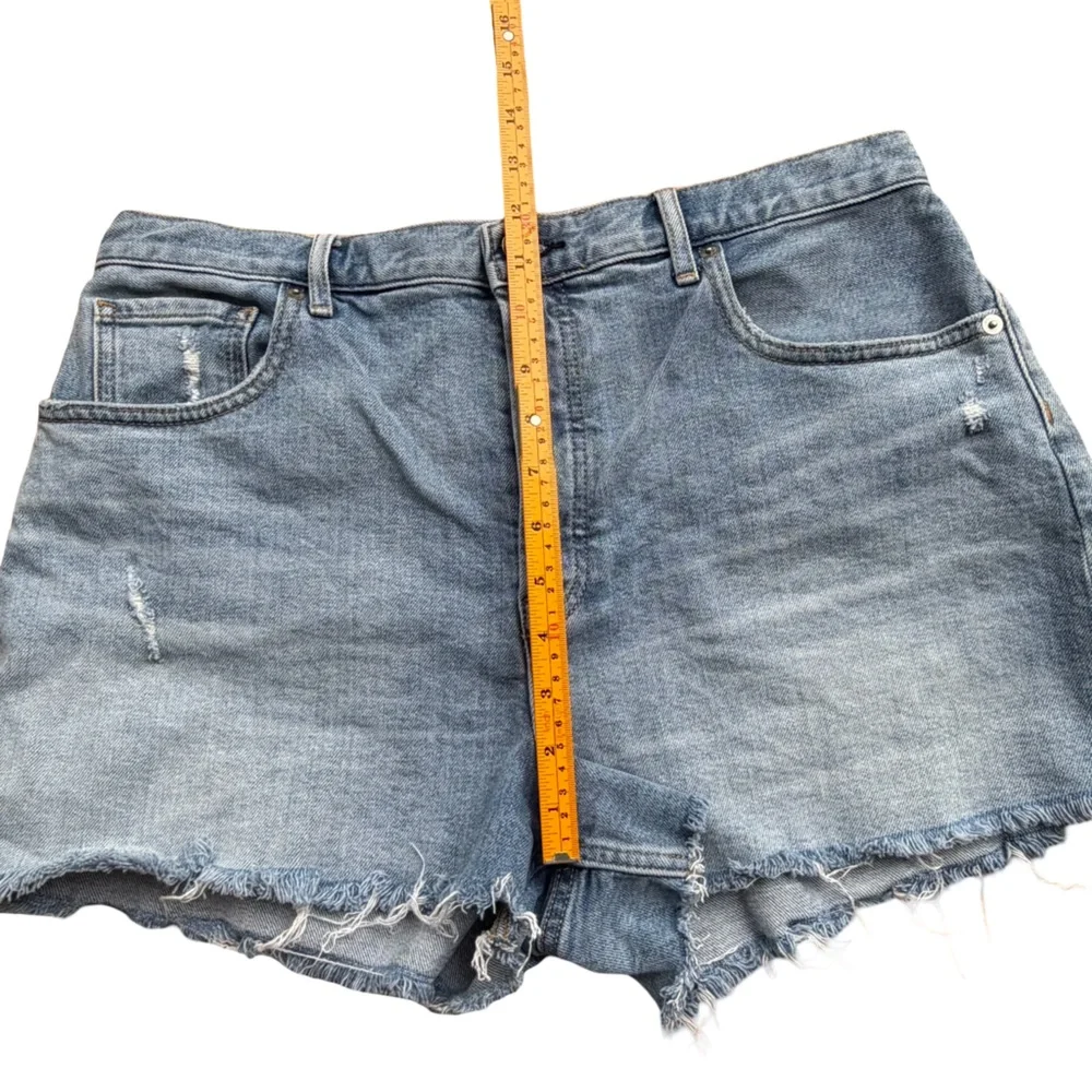 Everlane The Cheeky Short Denim Distressed